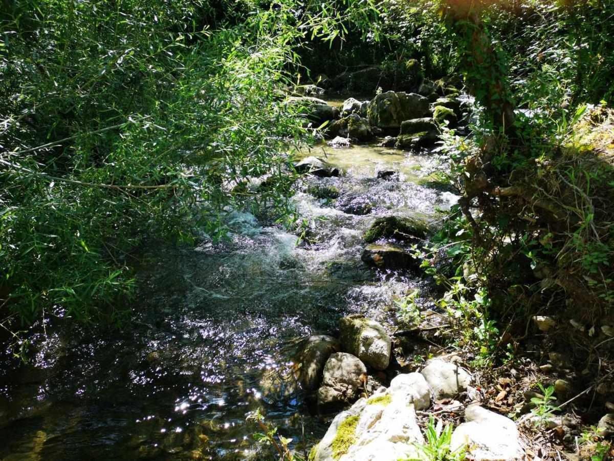 Molino Dei Ciliegi Splendida Villa In Umbria San Venanzo Eksteriør bilde